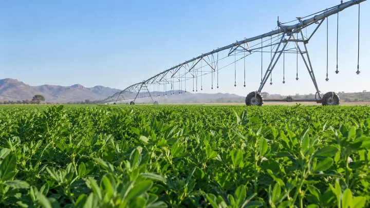 Centre-pivot irrigation above a green crop